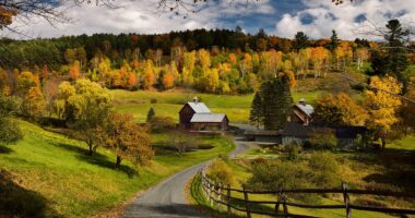 Locals living in foliage places adopt smart ways to keep tourists out