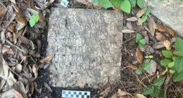 Long-lost Ancient Roman artifact shows up in NEW ORLEANS garden