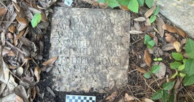 Long-lost Ancient Roman artifact shows up in NEW ORLEANS garden