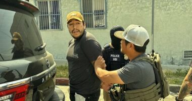 Los Angeles declares state of emergency in MAJOR move to combat ICE