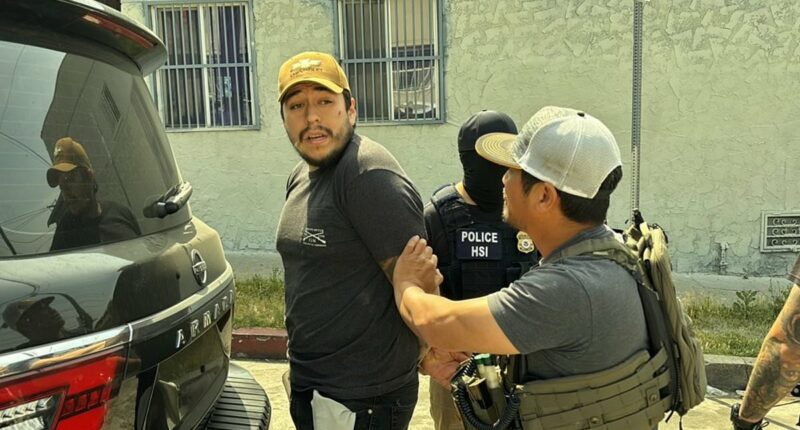 Los Angeles declares state of emergency in MAJOR move to combat ICE