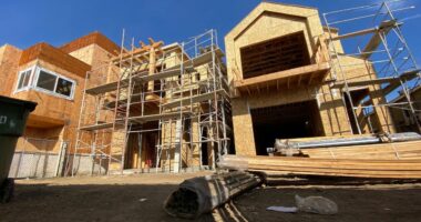 A house under construction is seen in Culver City, a neighborhood of Los Angeles on November 21, 2020. (Photo by CHRIS DELMAS/AFP via Getty Images)