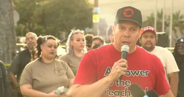 Los Angeles teacher says ICE agents are 'not the only ones with guns' following shooting of federal agent