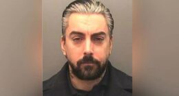 Lostprophets singer Ian Watkins, convicted pedophile, died from stab wound