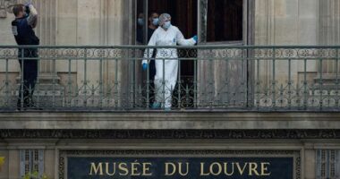 Louvre boss admits failure after jewel heist, says she offered to resign