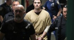 Luigi Mangione's lawyers seek dismissal of federal charges in assassination of UnitedHealthcare CEO