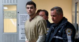 Luigi Mangione's attorneys say death-eligible charge must be dismissed
