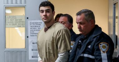 Luigi Mangione's attorneys say death-eligible charge must be dismissed