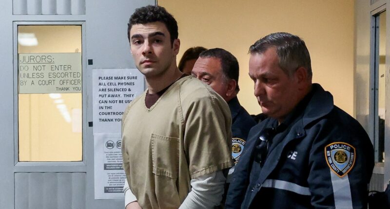 Luigi Mangione's attorneys say death-eligible charge must be dismissed