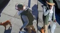 Machete-wielding offender with 20 arrests charged in blue city hit-and-run that killed cancer survivor