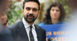 Mamdani is wrong on prostitution laws
