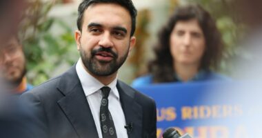 Mamdani is wrong on prostitution laws