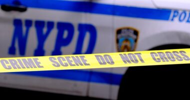 Man, 24, shot to death in lobby of Brooklyn apartment building