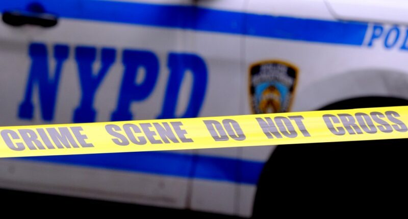 Man, 24, shot to death in lobby of Brooklyn apartment building