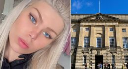 Man accused of killing his lover in a stabbing frenzy told police to shoot him, trial hears