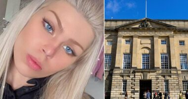 Man accused of killing his lover in a stabbing frenzy told police to shoot him, trial hears