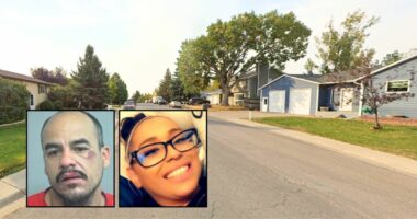 Man 'acting crazy' kills woman during group hangout: Cops