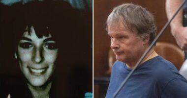 Man charged in 41-year-old cold case murder of 16-year-old Theresa Fusco in Lynbrook, Long Island