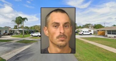Man claims to work for Trump while hurling slurs at cops: DA