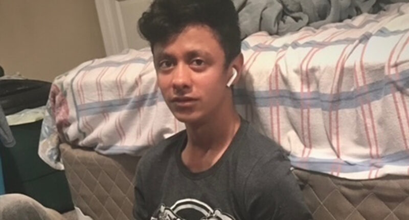 Man fleeing immigration agents is fatally struck by a vehicle on a Virginia highway