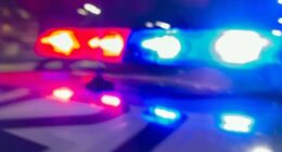 Man found dead in abandoned Tuscaloosa County residence