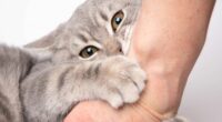 Man issues health warning after cat bite results in six surgeries in nine days