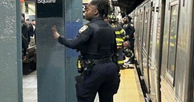 Man killed by Q train at Times Square-42nd St. subway station