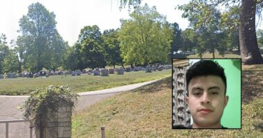 Man killed by defective 'Intimidator' woodchipper: Lawsuit