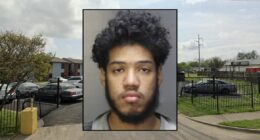 Man punched pregnant girlfriend over paternity: Police