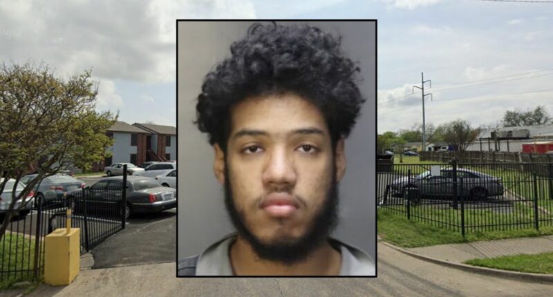Man punched pregnant girlfriend over paternity: Police