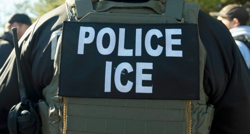 Man sought to 'evade prosecution through deportation' with surrender: Prosecutors