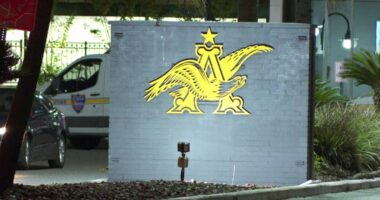 Man stabbed to death in workplace conflict at Anheuser-Busch facility; Suspect in custody, JSO says