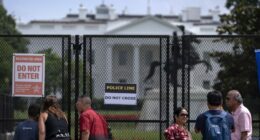 Man taken into custody after driving car into White House gate: Secret Service