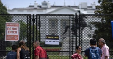 Man taken into custody after driving car into White House gate: Secret Service