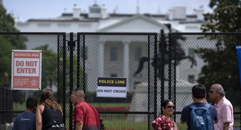 Man taken into custody after driving car into White House gate: Secret Service