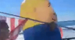A Trump supporter wearing an inflatable costume is attacked in moving gif