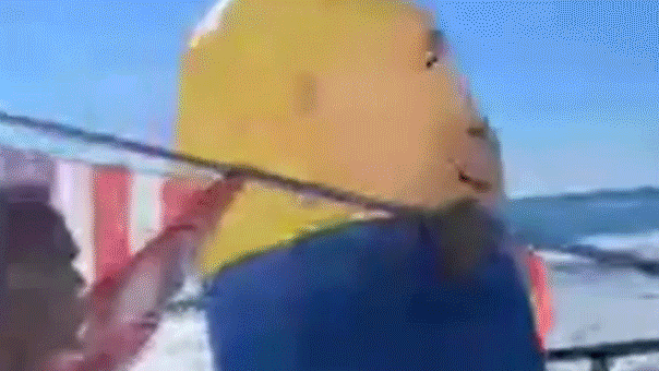 A Trump supporter wearing an inflatable costume is attacked in moving gif