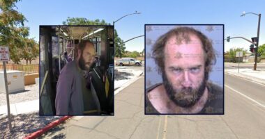 Man who allegedly tried to kidnap girl 'would do it again'