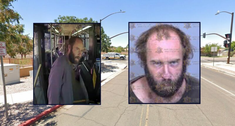 Man who allegedly tried to kidnap girl 'would do it again'