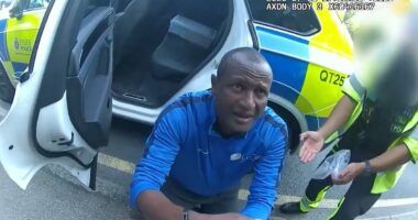 Manhunt for hotelmigrant sex attacker after he's accidentally freed