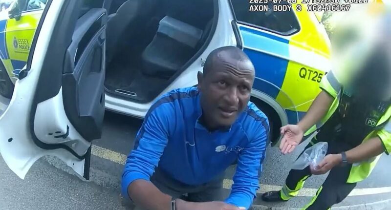 Manhunt for hotelmigrant sex attacker after he's accidentally freed