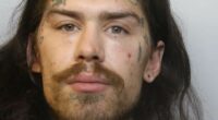 Marco Pierre White Jr is jailed for shoplifting spree