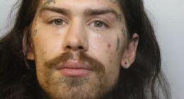 Marco Pierre White Jr is jailed for shoplifting spree