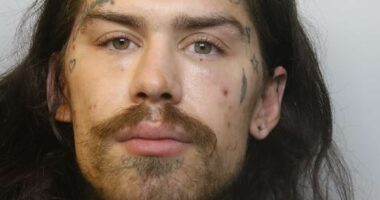Marco Pierre White Jr is jailed for shoplifting spree
