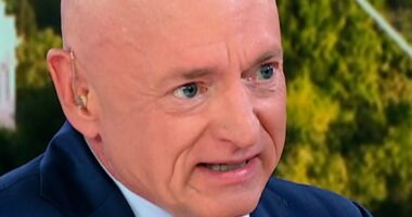 Mark Kelly: Harris 'would be incredibly strong' for 2028