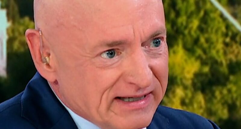 Mark Kelly: Harris 'would be incredibly strong' for 2028