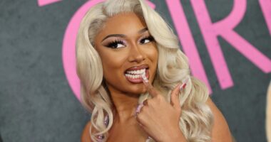 Megan Thee Stallion Is A ‘Lover Girl’ On New Single