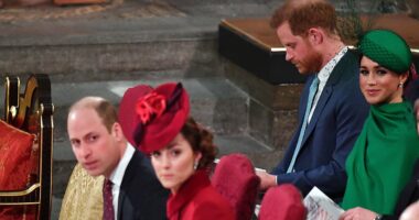 Meghan Markle's 'indestructible perma-smile' next to a 'dissolved' Prince Harry was a last-ditch attempt at proving herself