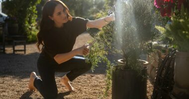 Meghan finally reveals why she always goes barefoot to greet guests