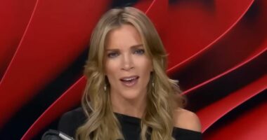 Megyn Kelly blasts Hilaria Baldwin for 'keeping herself in the news'